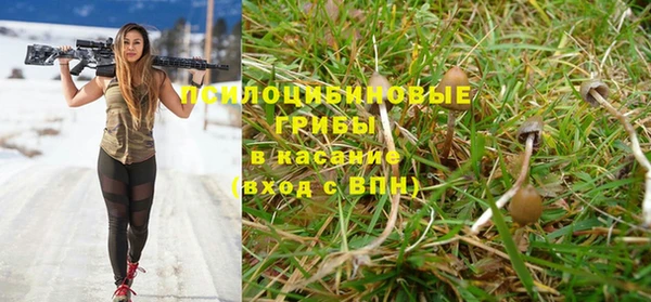 spice Алексеевка