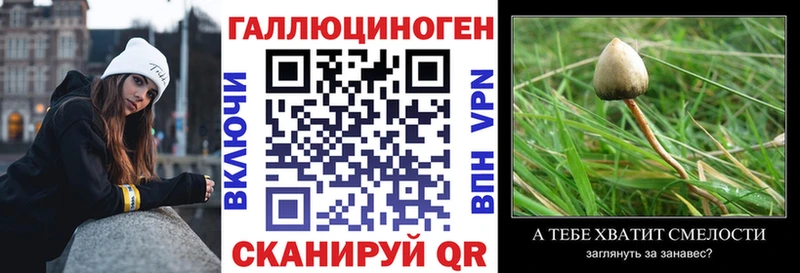 как найти   Зверево  Галлюциногенные грибы Magic Shrooms 